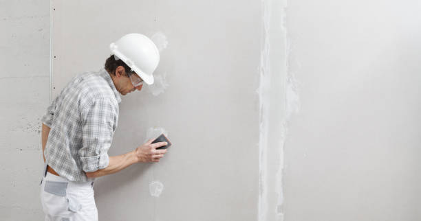 Reliable Burgaw, NC Mold Removal Solutions