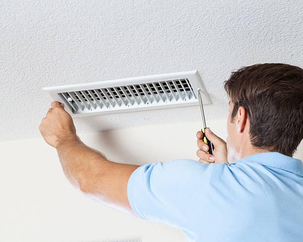 Mold Documentation for Insurance Claims in Burgaw, NC