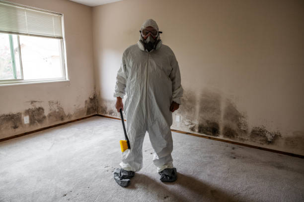 Best Residential Mold Inspection & Testing  in Burgaw, NC